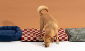 Otis & Claude Hi-Tech Cashmere Pets Bed​s